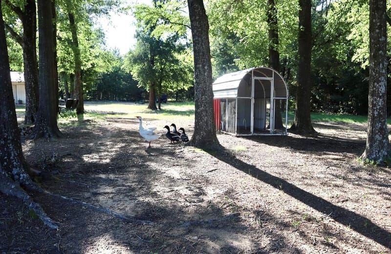 387 County Road 2101, Ivanhoe TX 75447 - Photo 40