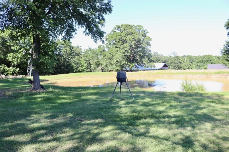 387 County Road 2101, Ivanhoe TX 75447 - Photo 4