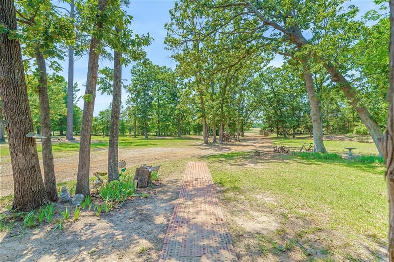 7611 Fm 314, Ben Wheeler TX 75754 - Photo 3