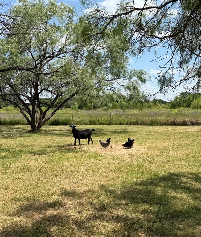 5476 County Road 2646, Royse City TX 75189 - Photo 31