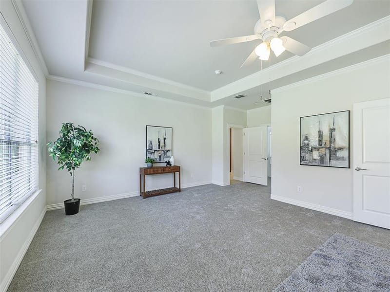 248 Burnswick Isles Way, Frisco TX 75036 - Photo 23