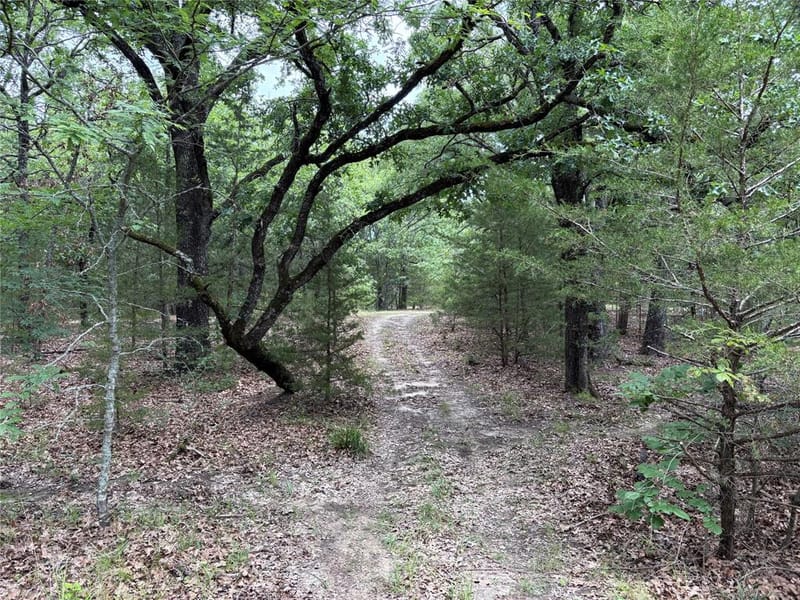 2212 County Road 4128, Cumby TX 75433 - Photo 23
