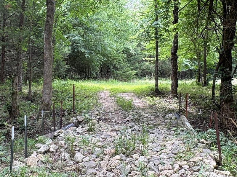 2212 County Road 4128, Cumby TX 75433 - Photo 6