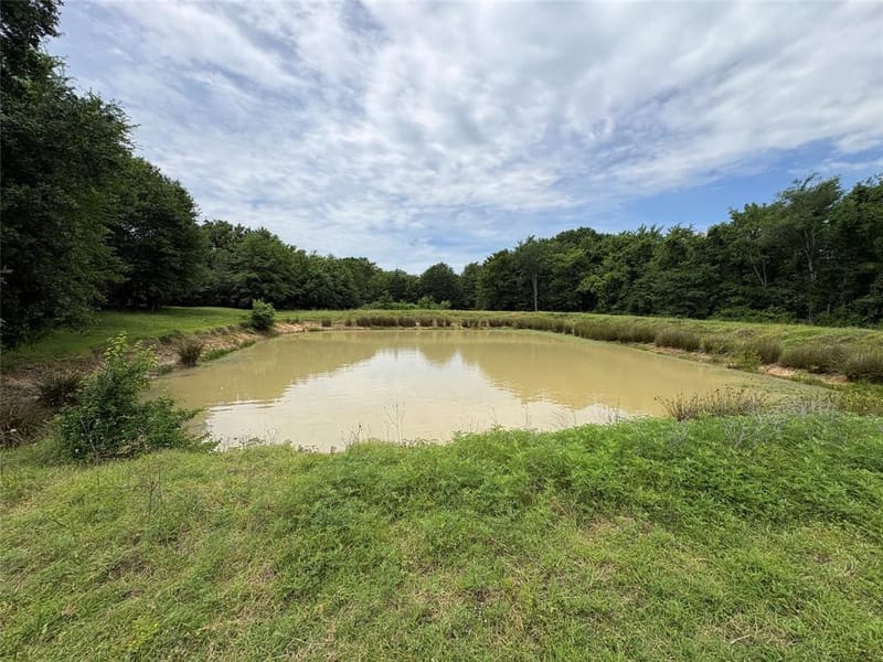 2212 County Road 4128, Cumby TX 75433 - Photo 13