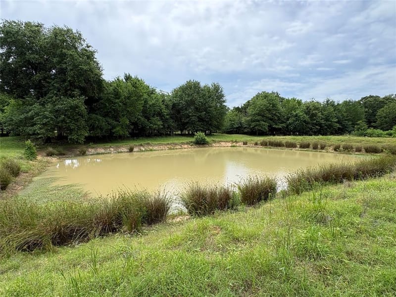 2212 County Road 4128, Cumby TX 75433 - Photo 16