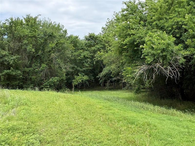 2212 County Road 4128, Cumby TX 75433 - Photo 7