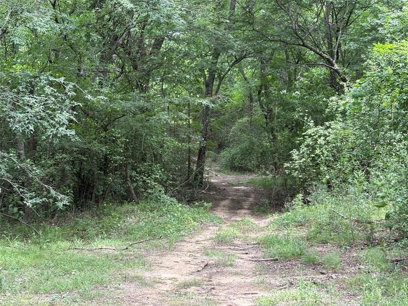 2212 County Road 4128, Cumby TX 75433 - Photo 5