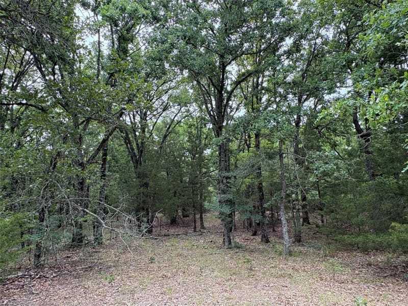 2212 County Road 4128, Cumby TX 75433 - Photo 20