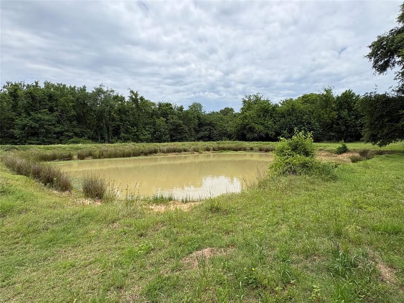 2212 County Road 4128, Cumby TX 75433 - Photo 14