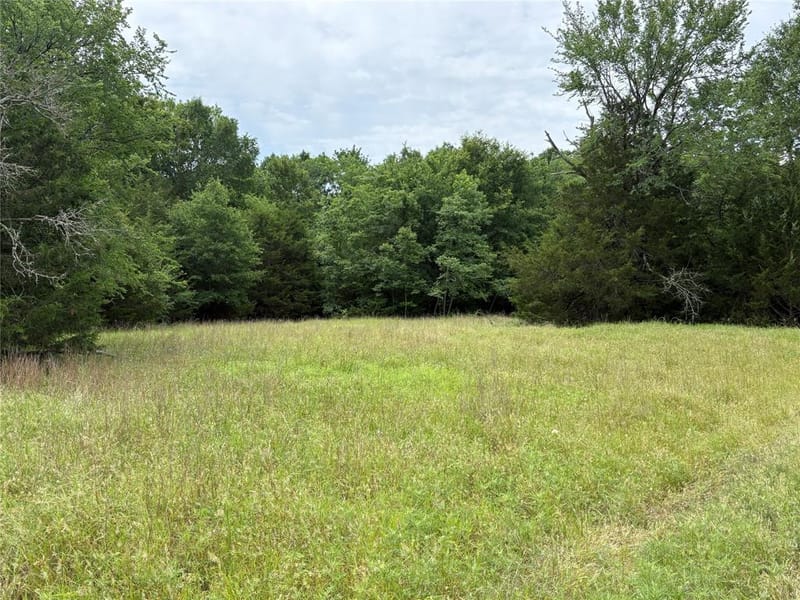 2212 County Road 4128, Cumby TX 75433 - Photo 11