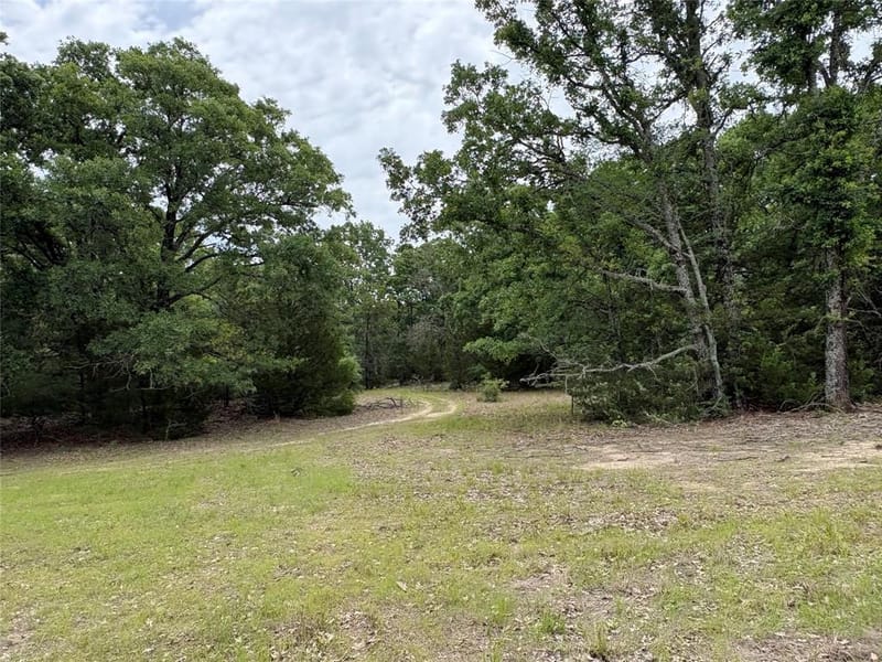 2212 County Road 4128, Cumby TX 75433 - Photo 19