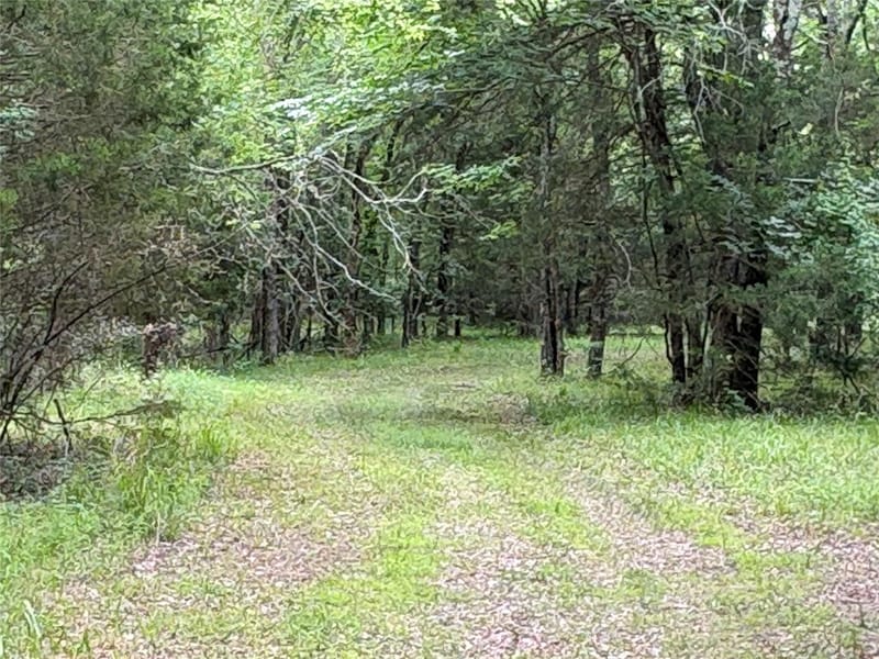 2212 County Road 4128, Cumby TX 75433 - Photo 4