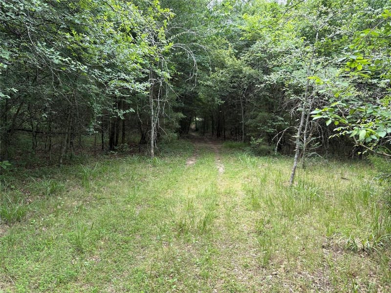 2212 County Road 4128, Cumby TX 75433 - Photo 21