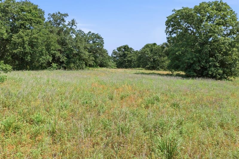 3523 E Highway 199, Springtown TX 76082 - Photo 38
