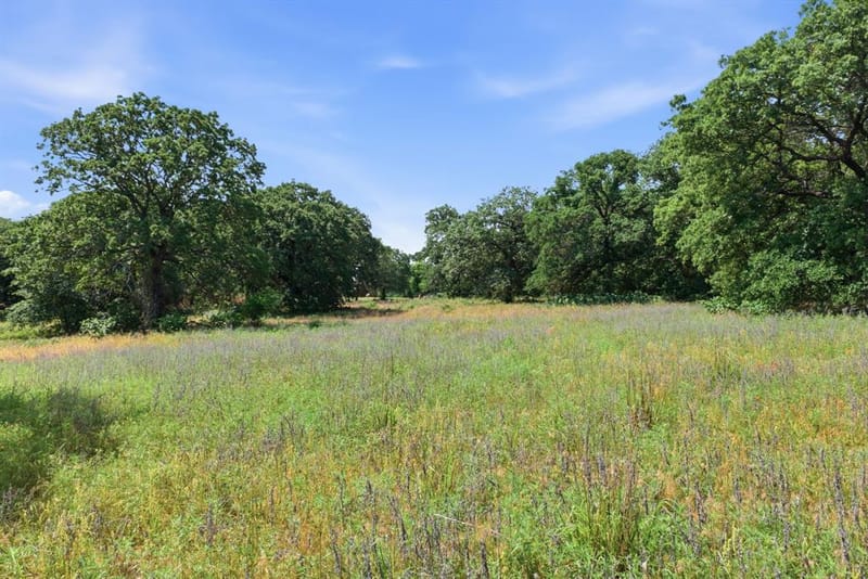 3523 E Highway 199, Springtown TX 76082 - Photo 39
