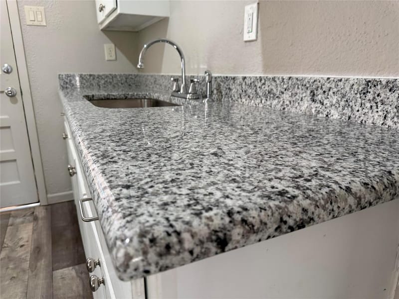 2006 SE 20th Street, Mineral Wells TX 76067 - Photo 5