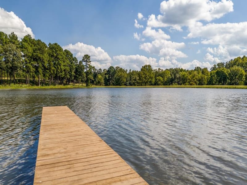 14244 Caddo Creek Circle, Larue TX 75770 - Photo 40
