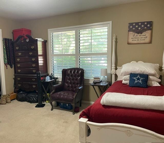 2815 Good Shepherd Drive, Brownwood TX 76801 - Photo 24