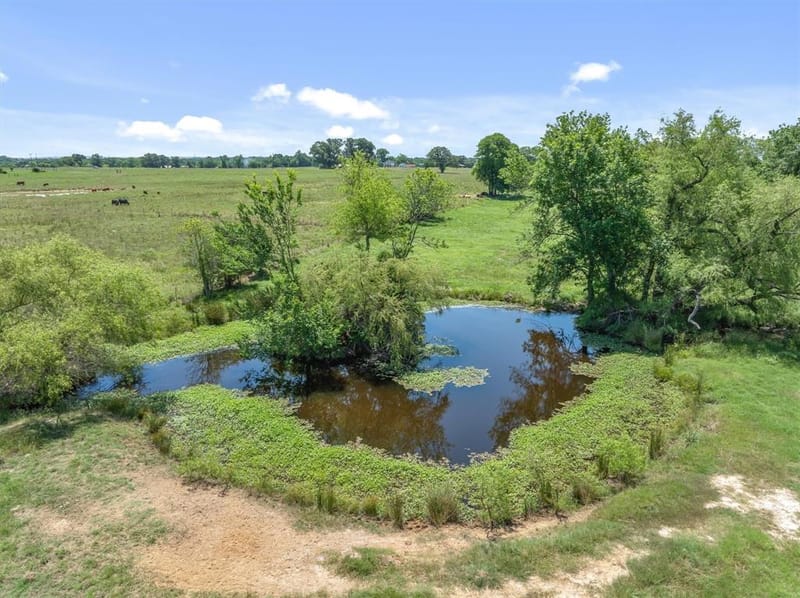 1026 Vz County Road 2115, Canton TX 75103 - Photo 40