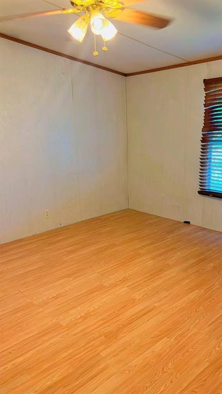 10768 Whiterock Trail, Anna TX 75409 - Photo 12