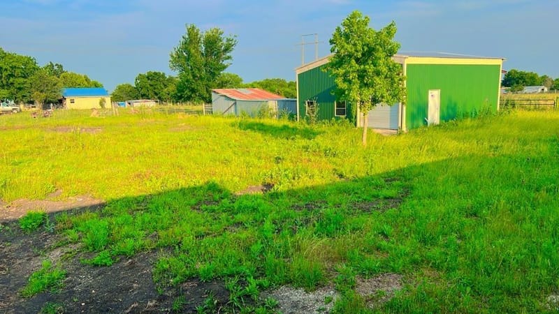 10768 Whiterock Trail, Anna TX 75409 - Photo 28