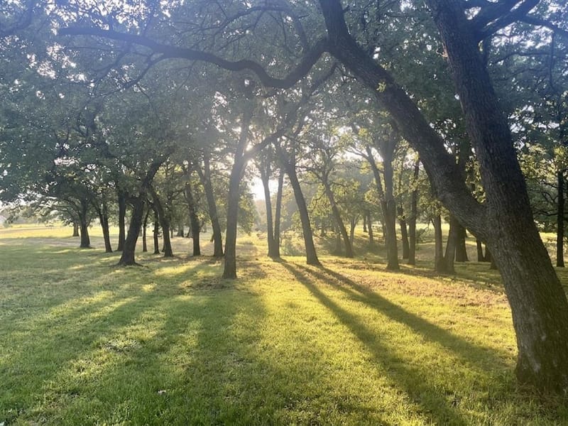 27659 US Highway 377, Gordonville TX 76245 - Photo 3