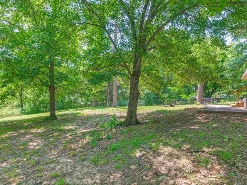 1016 N Saline, Grand Saline TX 75140 - Photo 27