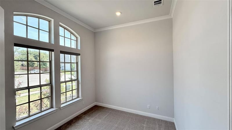 840 Moorland Pass Drive, Prosper TX 75078 - Photo 17