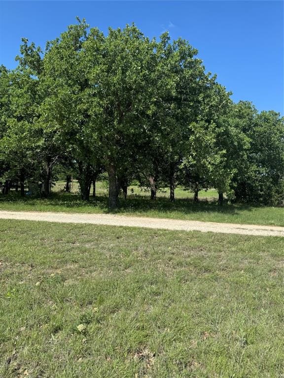 12152 County Road 156, Bluff Dale TX 76433 - Photo 17