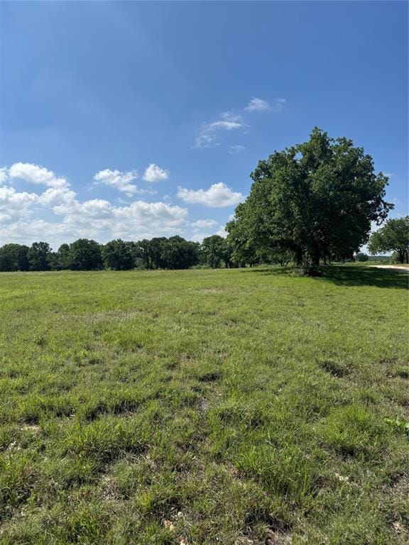 12152 County Road 156, Bluff Dale TX 76433 - Photo 15