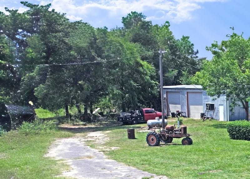258 County Road 3199, Winnsboro TX 75494 - Photo 26