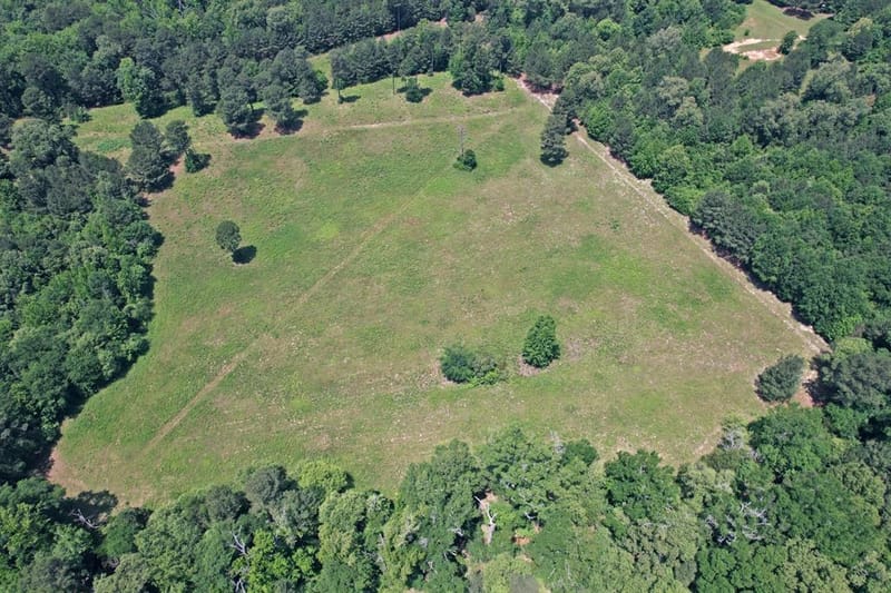 258 County Road 3199, Winnsboro TX 75494 - Photo 36