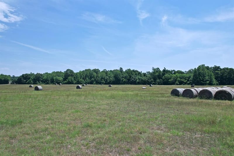 258 County Road 3199, Winnsboro TX 75494 - Photo 32