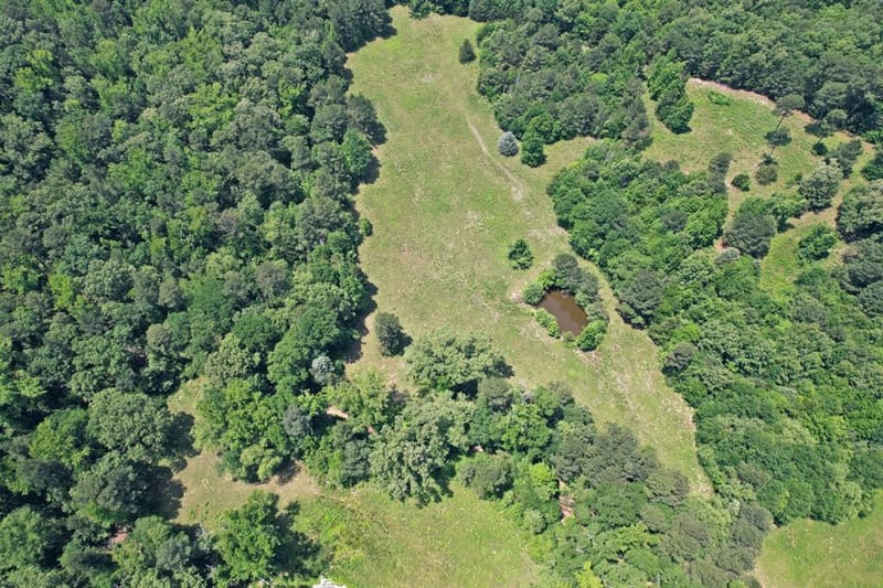 258 County Road 3199, Winnsboro TX 75494 - Photo 38