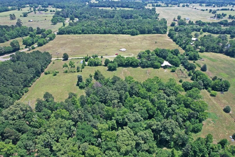 258 County Road 3199, Winnsboro TX 75494 - Photo 37