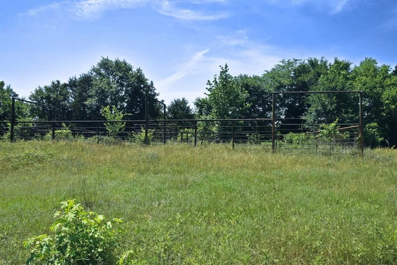 258 County Road 3199, Winnsboro TX 75494 - Photo 31