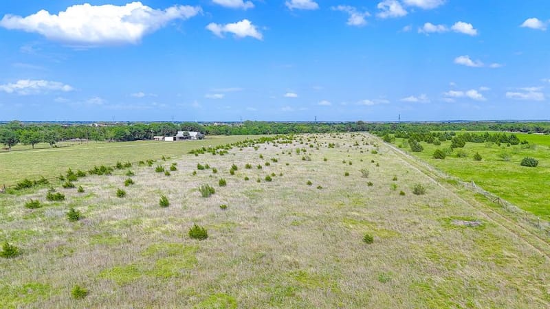 1612 Wilson Road, Waxahachie TX 75165 - Photo 11