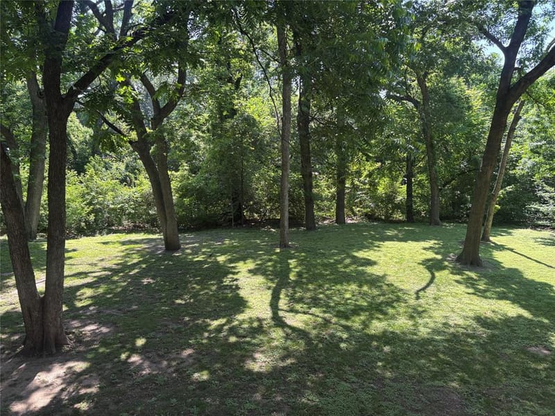 165 VZ County Road 4108, Canton TX 75103 - Photo 3