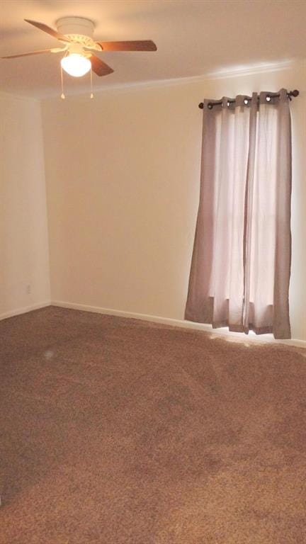 423 Columbia Circle, Irving TX 75062 - Photo 28