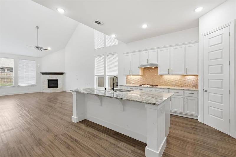4005 Big Prairie Drive, Aubrey TX 76227 - Photo 6