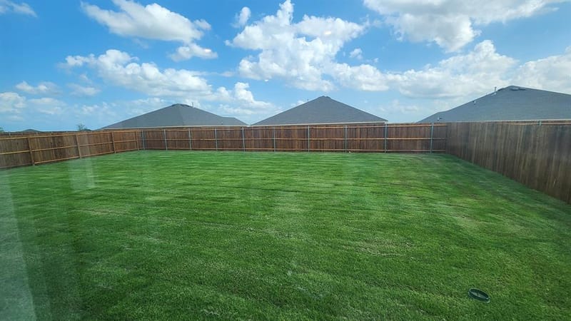 407 Northern Red Drive, Nevada TX 75173 - Photo 14