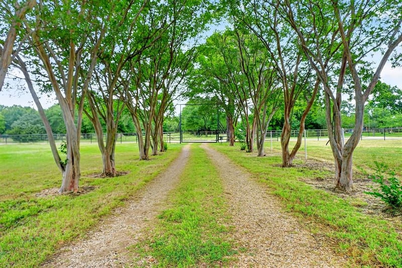 1401 Vz County Road 3411, Wills Point TX 75169 - Photo 3
