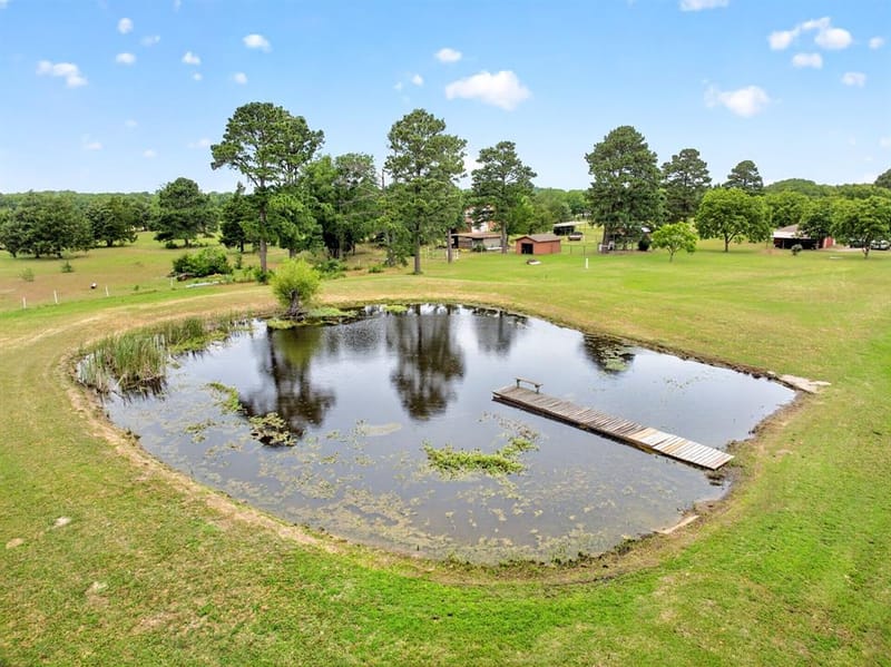 1401 Vz County Road 3411, Wills Point TX 75169 - Photo 36