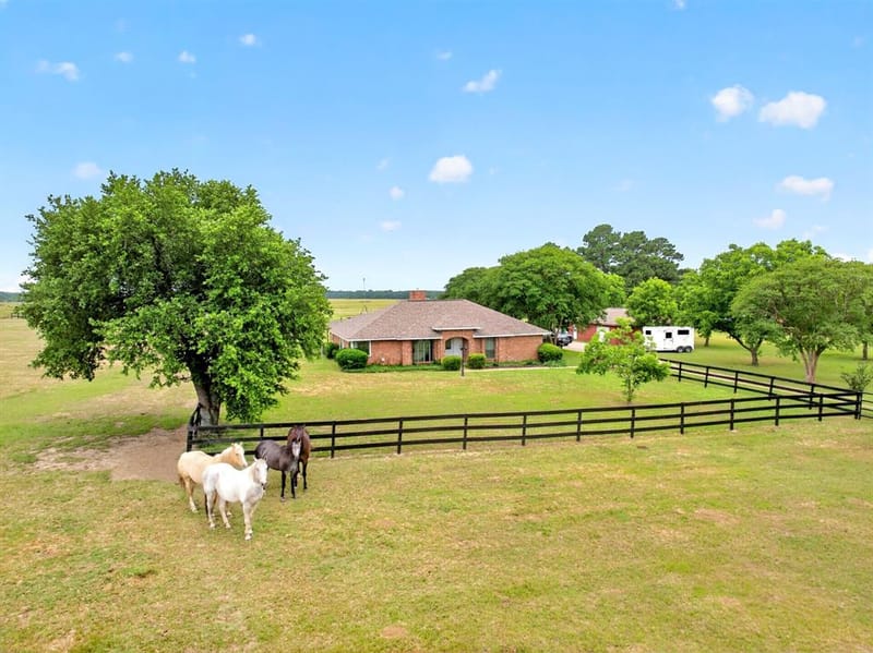 1401 Vz County Road 3411, Wills Point TX 75169