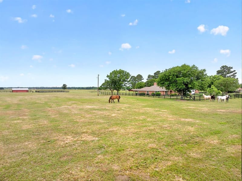 1401 Vz County Road 3411, Wills Point TX 75169 - Photo 28
