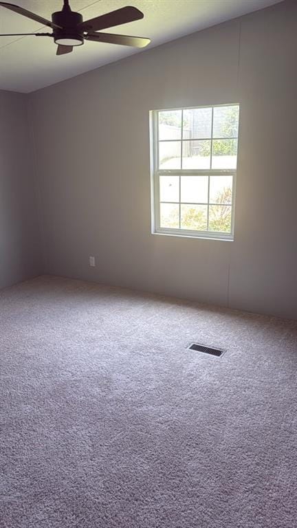 113 Sunny Dale Court, Springtown TX 76082 - Photo 6
