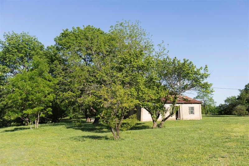 3183 Harrell Road, Howe TX 75459 - Photo 37