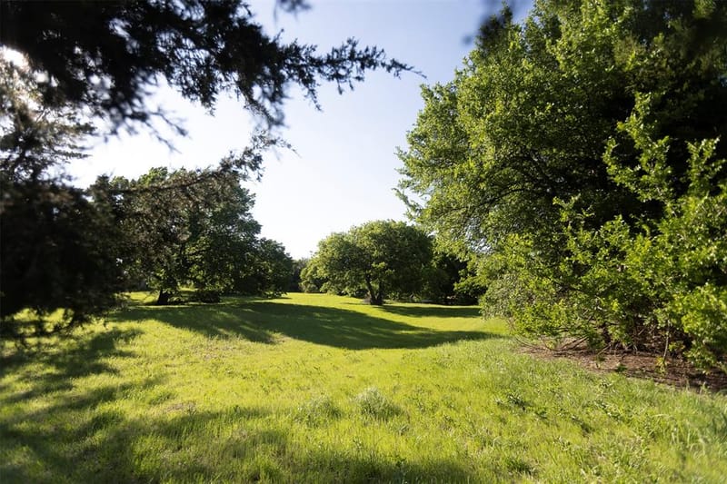 3183 Harrell Road, Howe TX 75459 - Photo 35