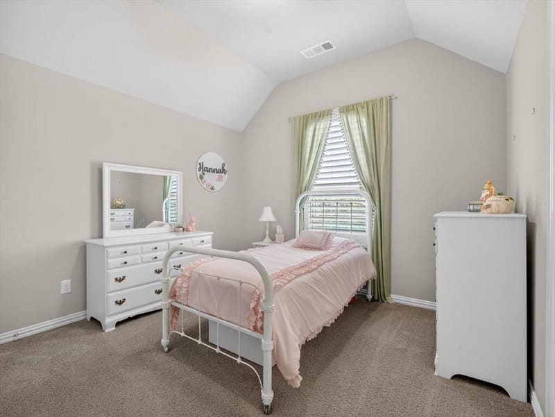 13993 Falcon Ranch Drive, Frisco TX 75035 - Photo 27