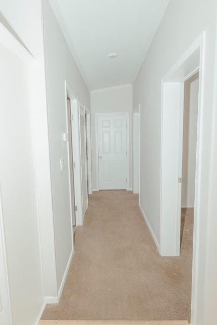 135 Princeton Lane E, Princeton LA 71067 - Photo 19